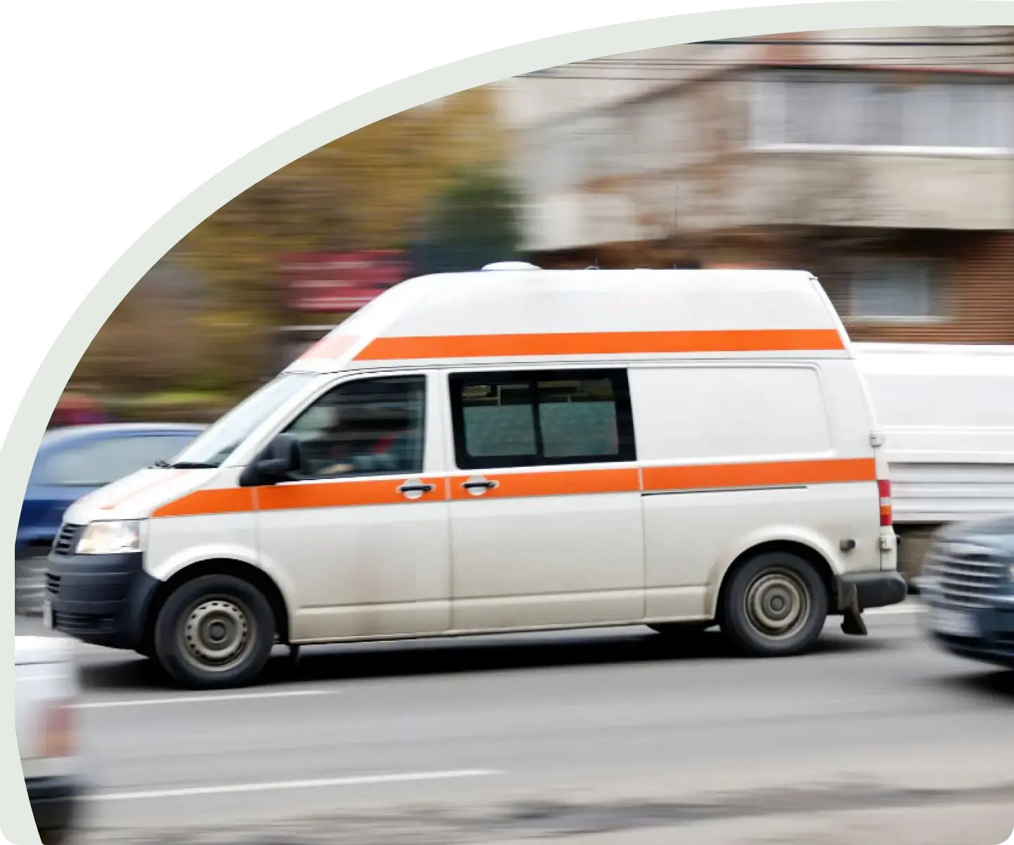 Услуги ветеринара на дому: работаем по Москве и области 24/7